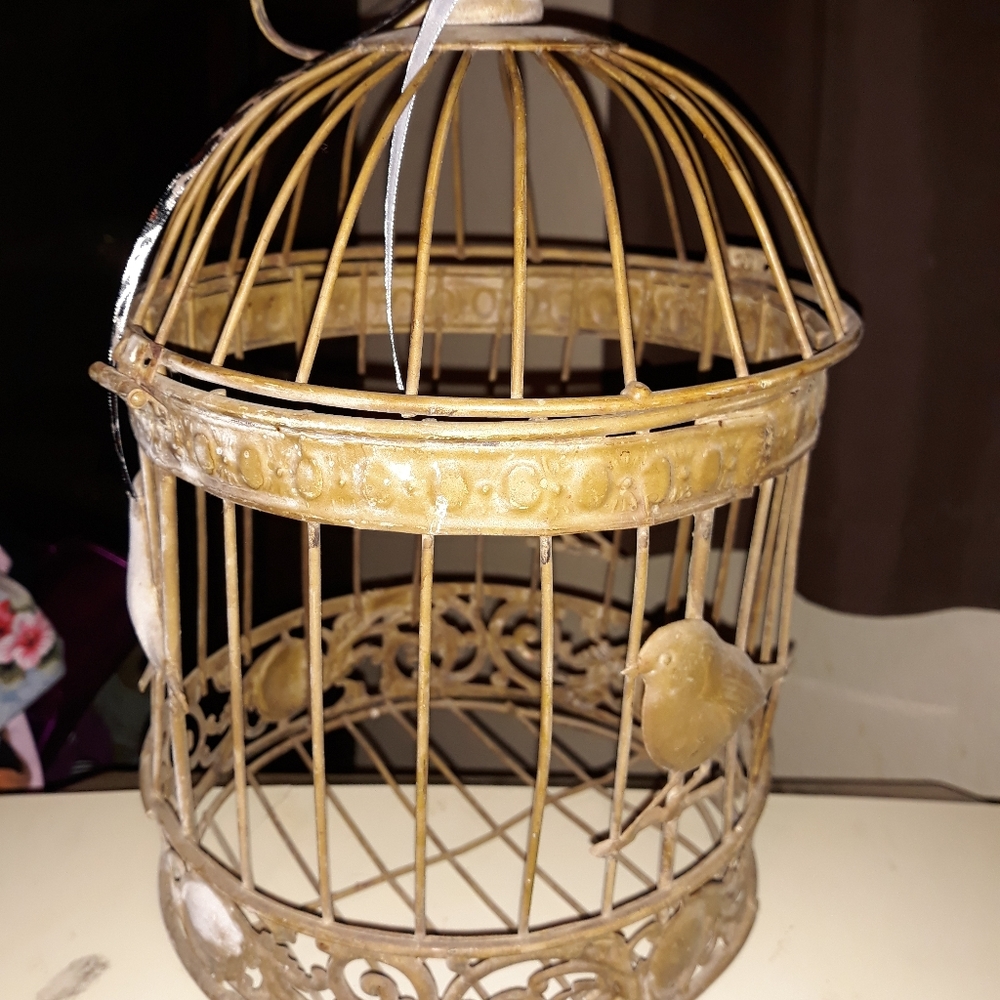Bird cage decor